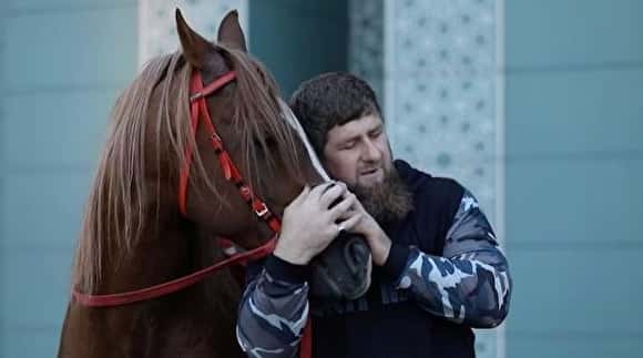 Скаковые лошади Кадырова зарабатывают в три раза больше его самого - «Трансперенси Интернешнл»