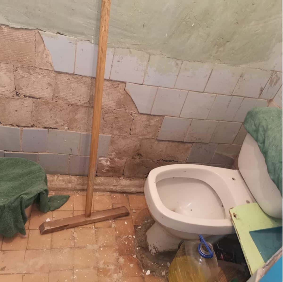 «Туалет как из фильма ужасов, дети обходят стороной». Российские школьники показали санузлы в своих школах в рамках конкурса Domestos