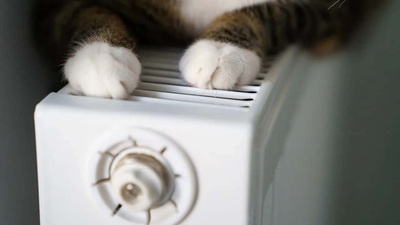 МЭА предложило европейцам снизить температуру в домах на два градуса, чтобы пережить зиму без российского газа