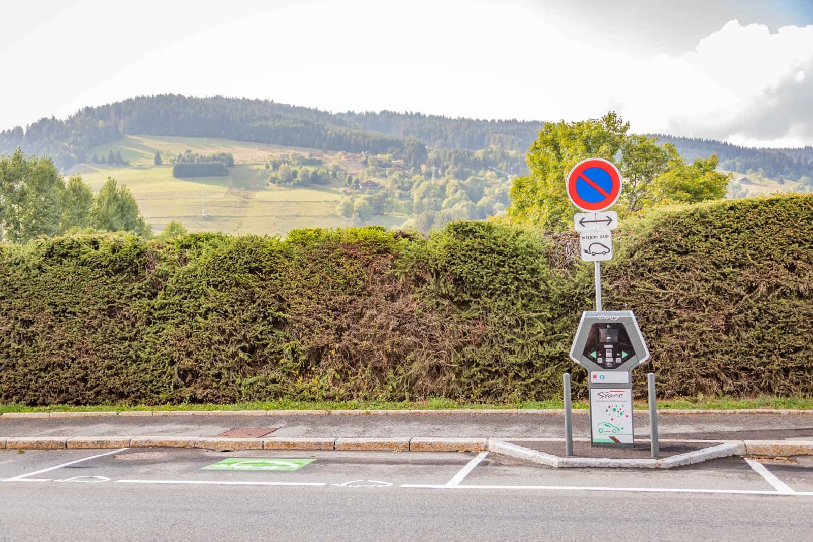 Евросоюз одобрил масштабный план перехода на водород и электричество