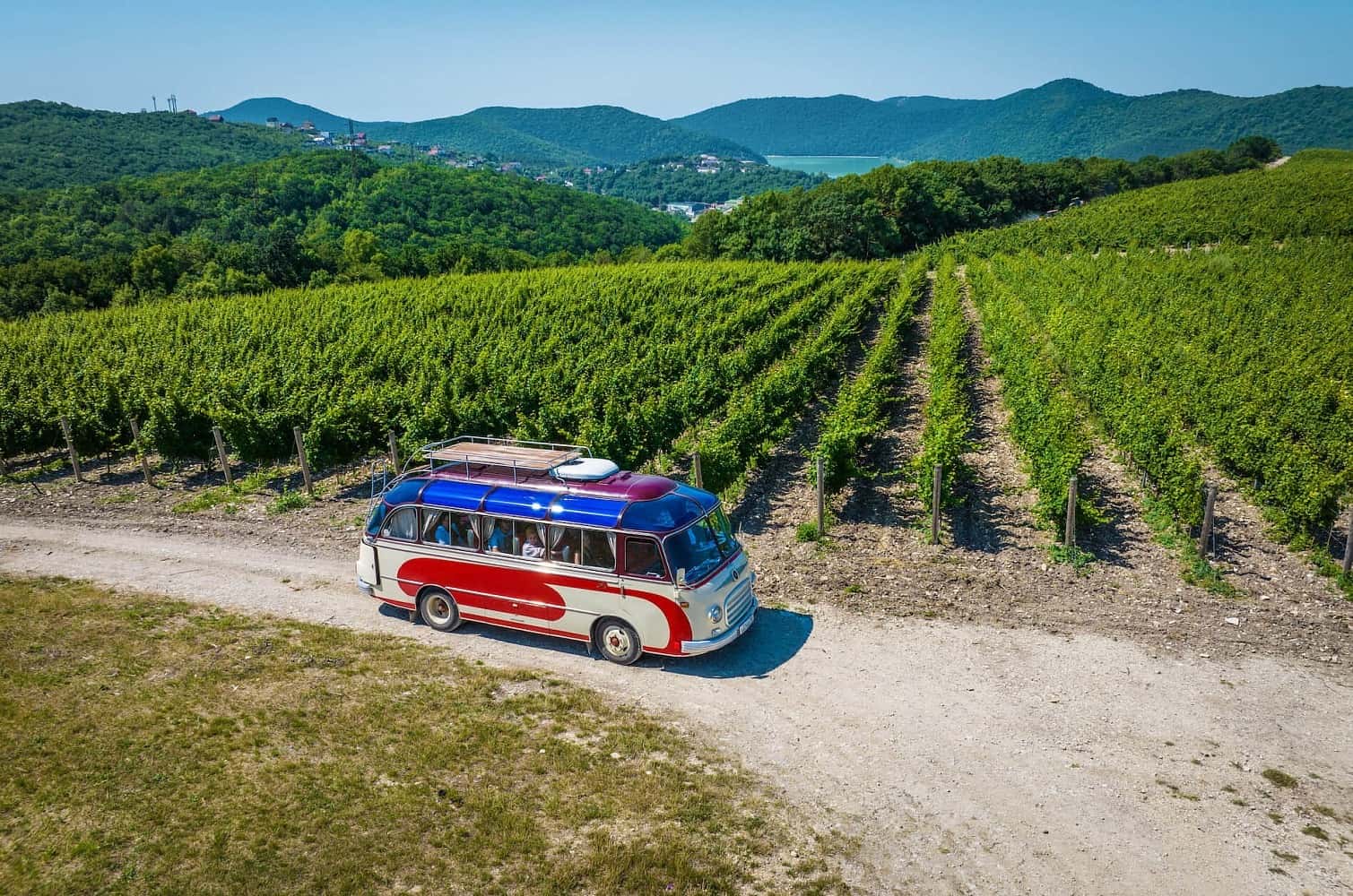 Три винодельни российских коррупционеров стали членами Всемирной организации винного туризма 