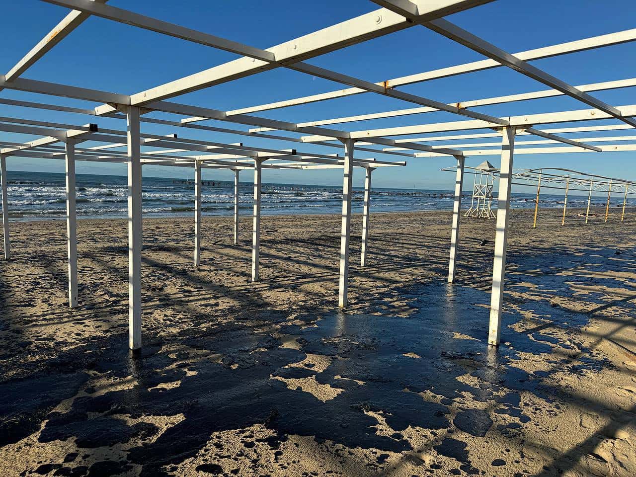 Обматеривший очищающих от мазута пляжи волонтеров в Краснодарском крае чиновник уйдет в отставку