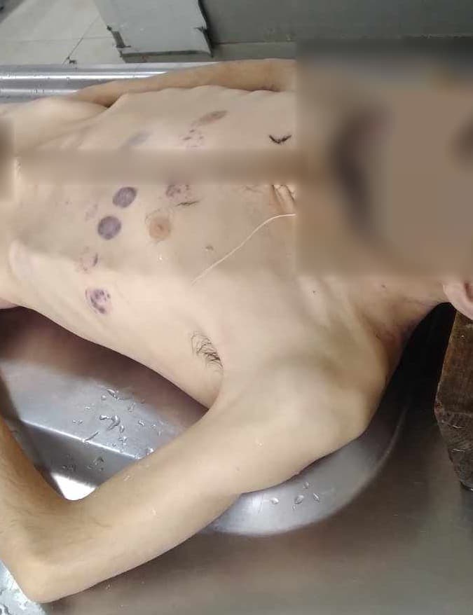 Изображение из галереи