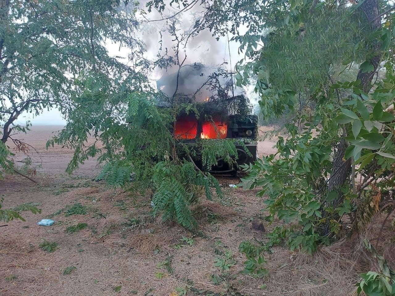 Изображение из галереи