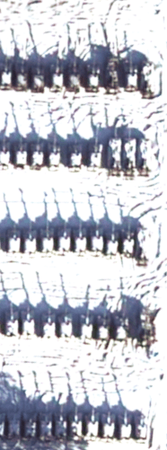 Миниатюра 9