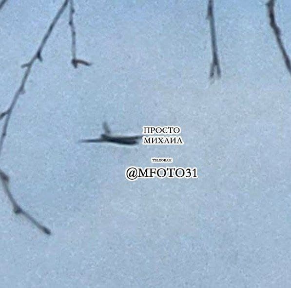 Изображение из галереи