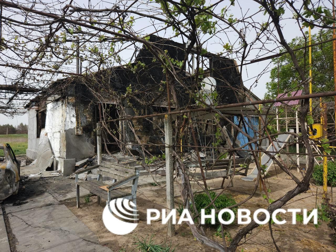 Изображение из галереи