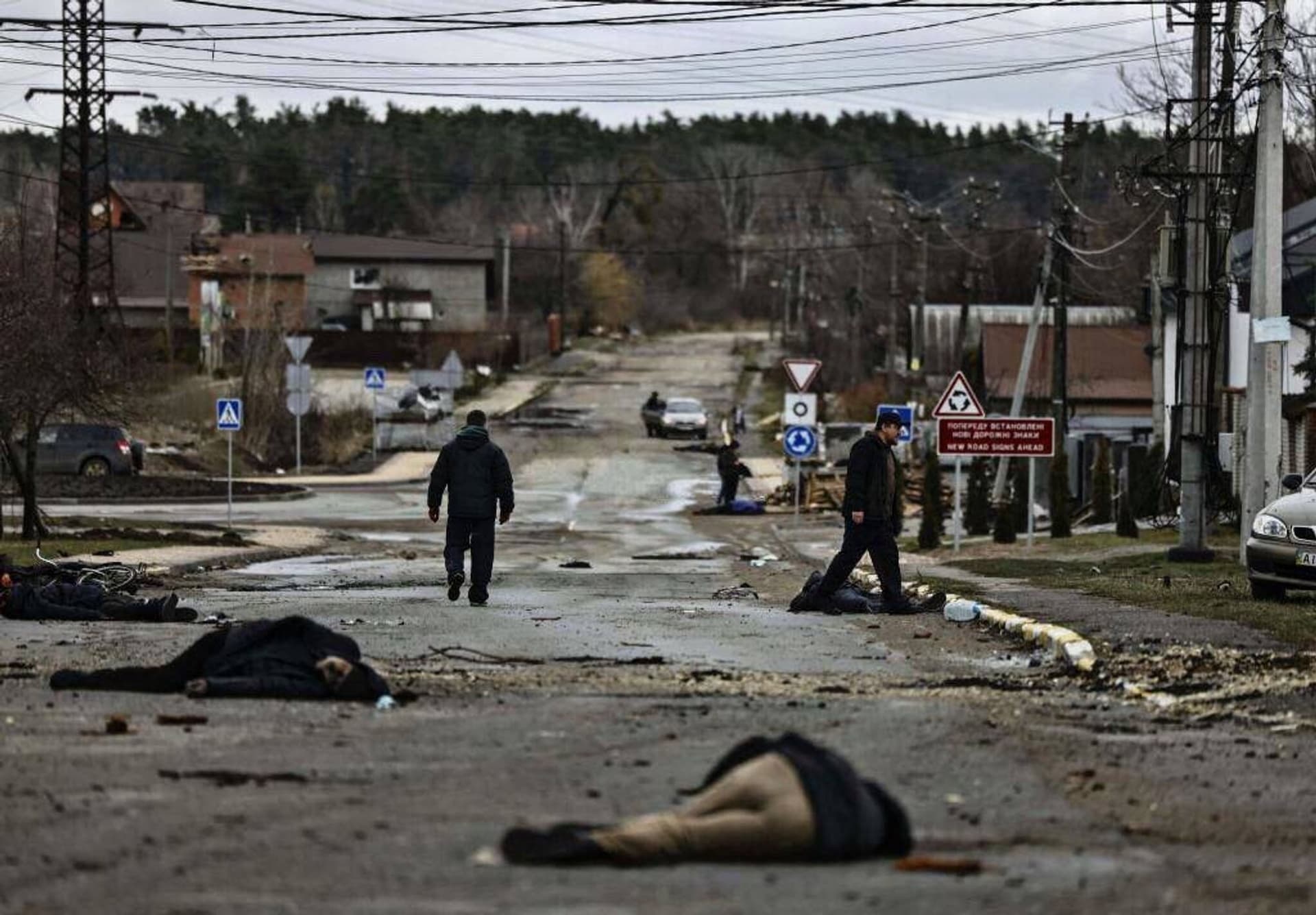 Изображение из галереи