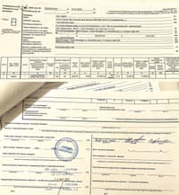 Миниатюра 9