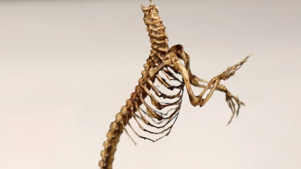 Изображение из галереи