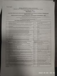 Миниатюра 17