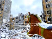 Миниатюра 5