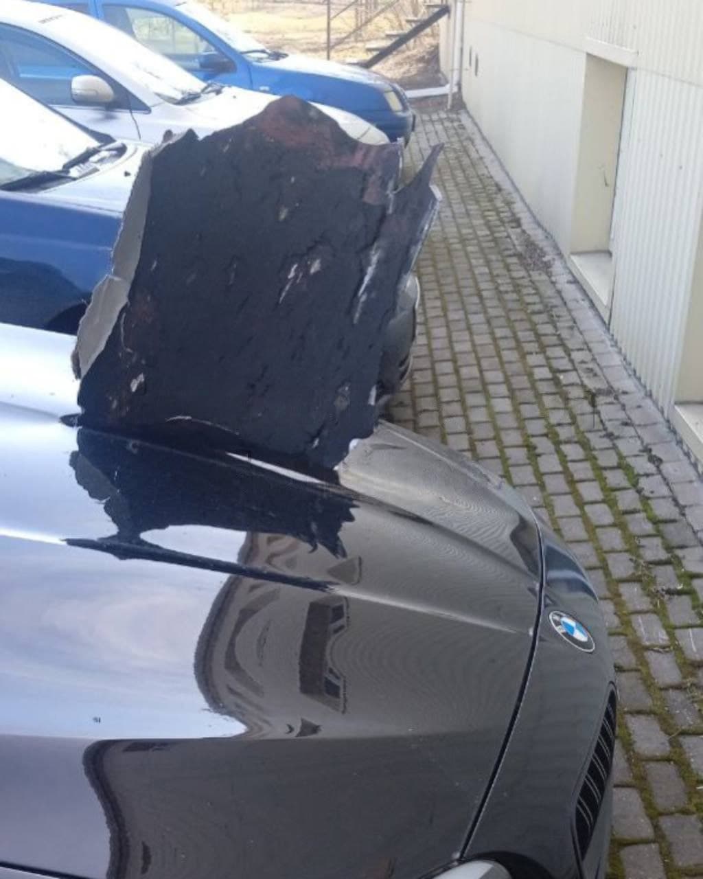 Изображение из галереи