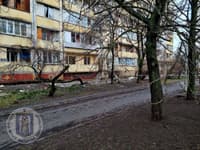 Миниатюра 7