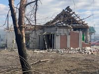 Миниатюра 4