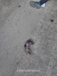 Миниатюра 4