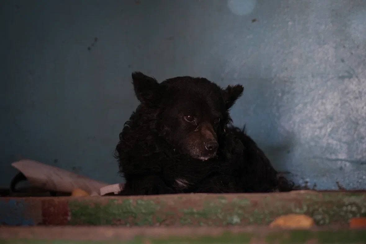 Изображение из галереи