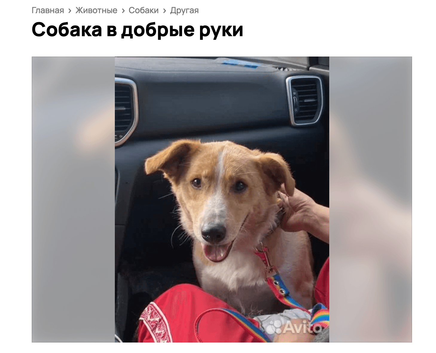 Изображение из галереи