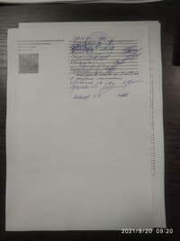 Миниатюра 49