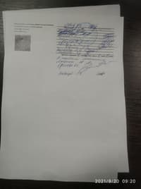 Миниатюра 51