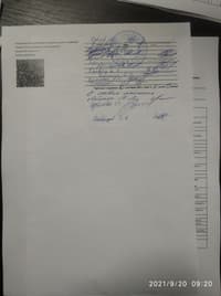 Миниатюра 53