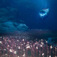 Миниатюра 2