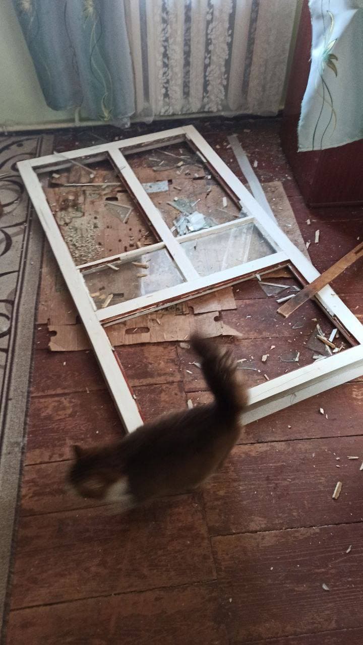 Изображение из галереи