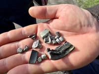 Миниатюра 5