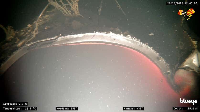 Изображение из галереи