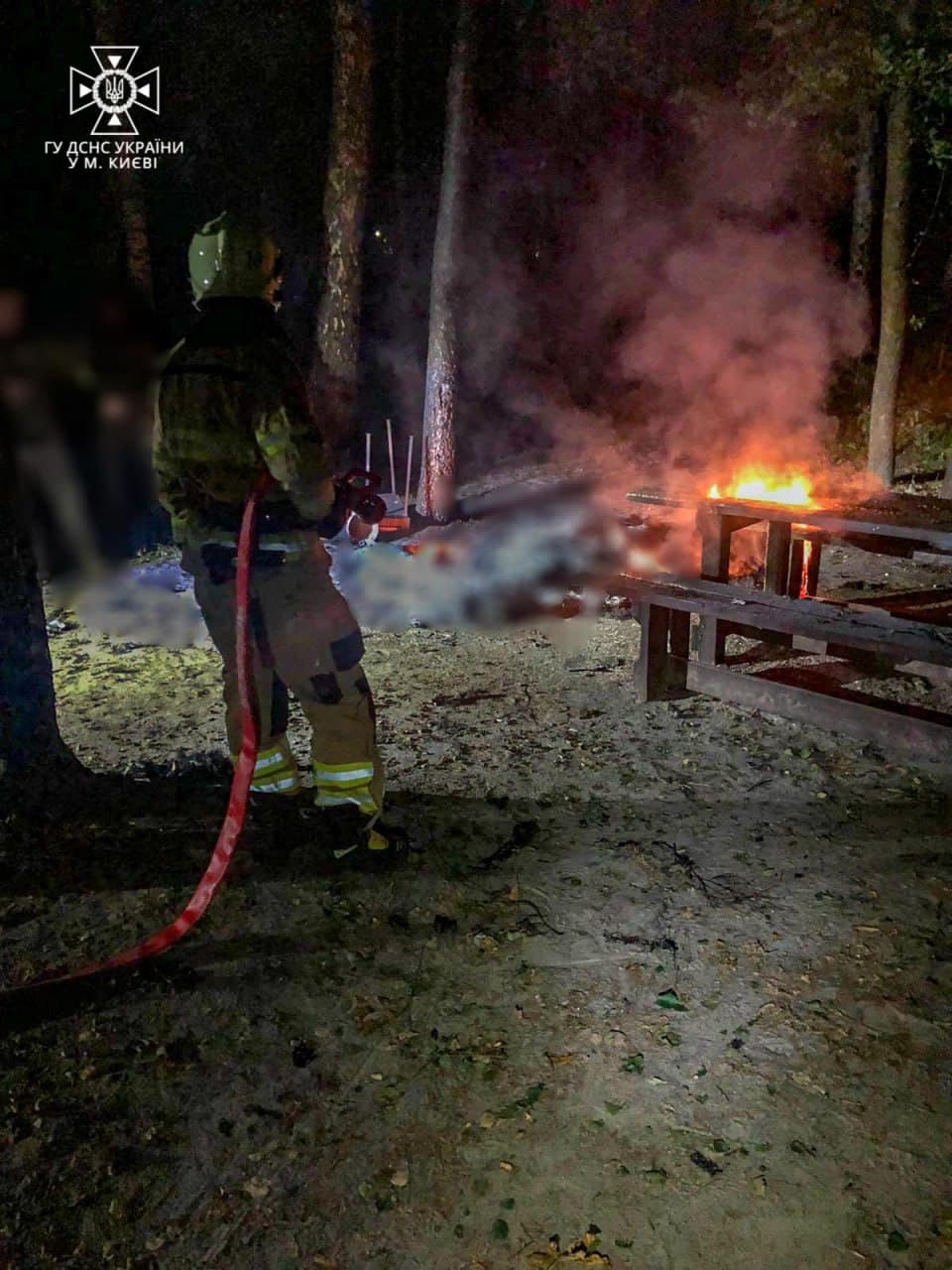 Изображение из галереи