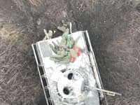 Миниатюра 1