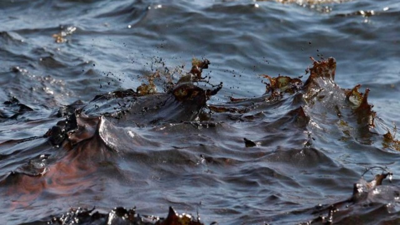 «Разлив нефти в Черном море изначально был очень велик, а теперь сработал наихудший сценарий» — эколог