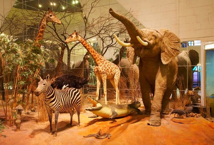 В Москве «для удобства горожан» откроют пункты мобилизации в Дарвиновском музее и Театре Виктюка