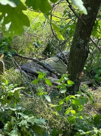 Миниатюра 6