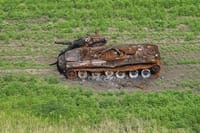 Миниатюра 3