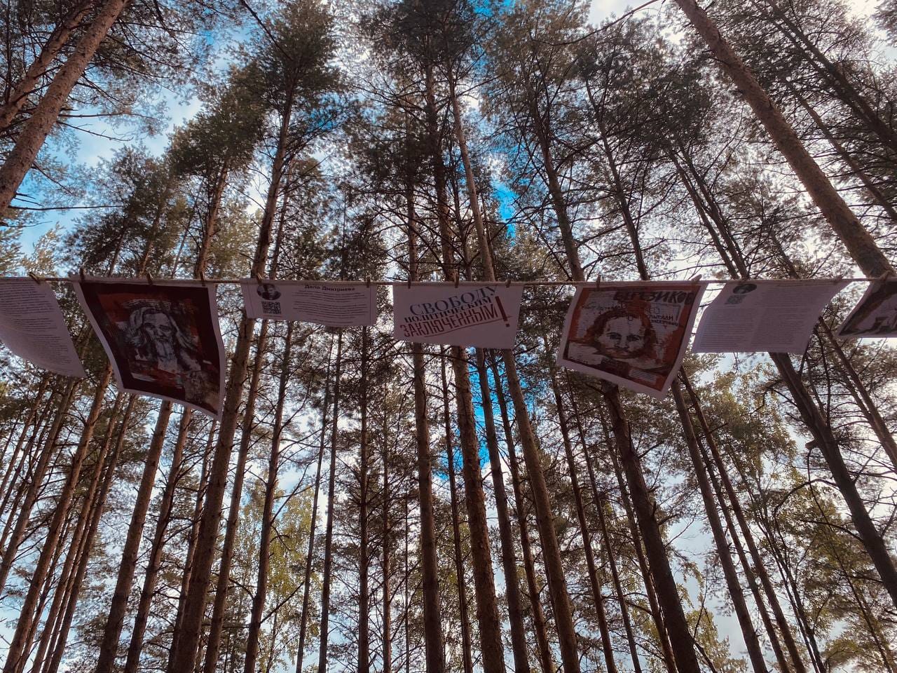 Изображение из галереи