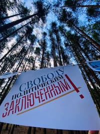 Миниатюра 9