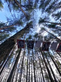 Миниатюра 10