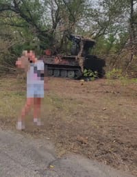 Миниатюра 2