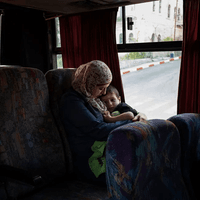 Миниатюра 7