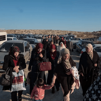 Миниатюра 8