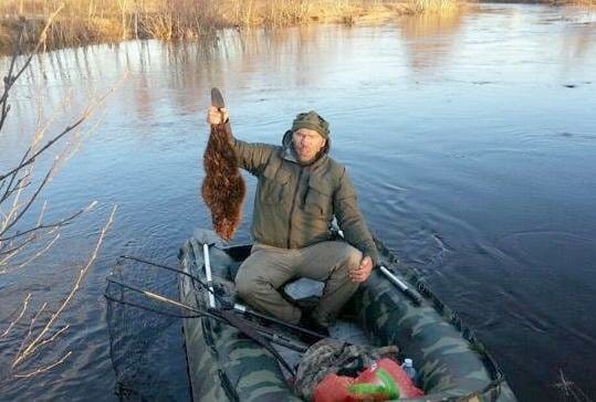 Изображение из галереи