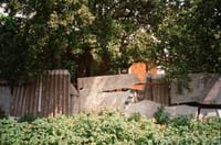 Полтава и область. Фото: Дарья Нилова