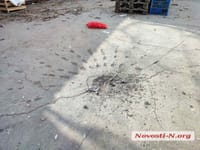 Миниатюра 5