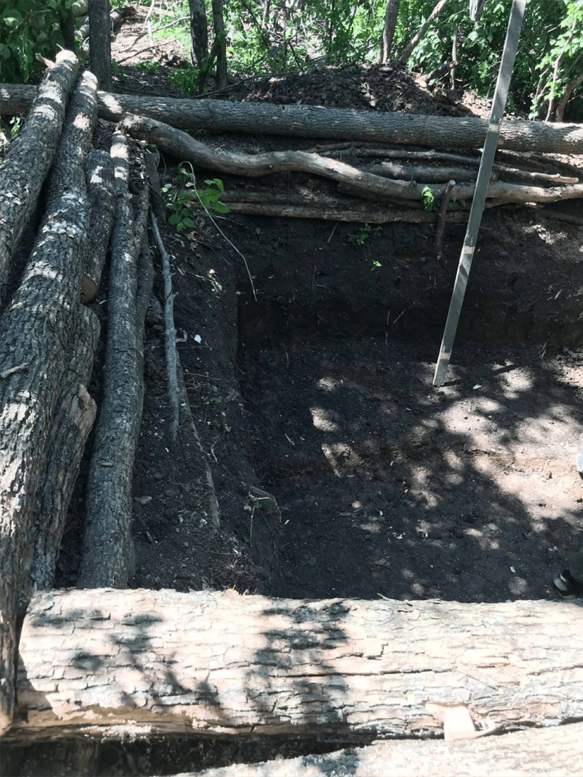 Изображение из галереи