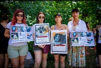 Митинг хозяев собак и волонтеров