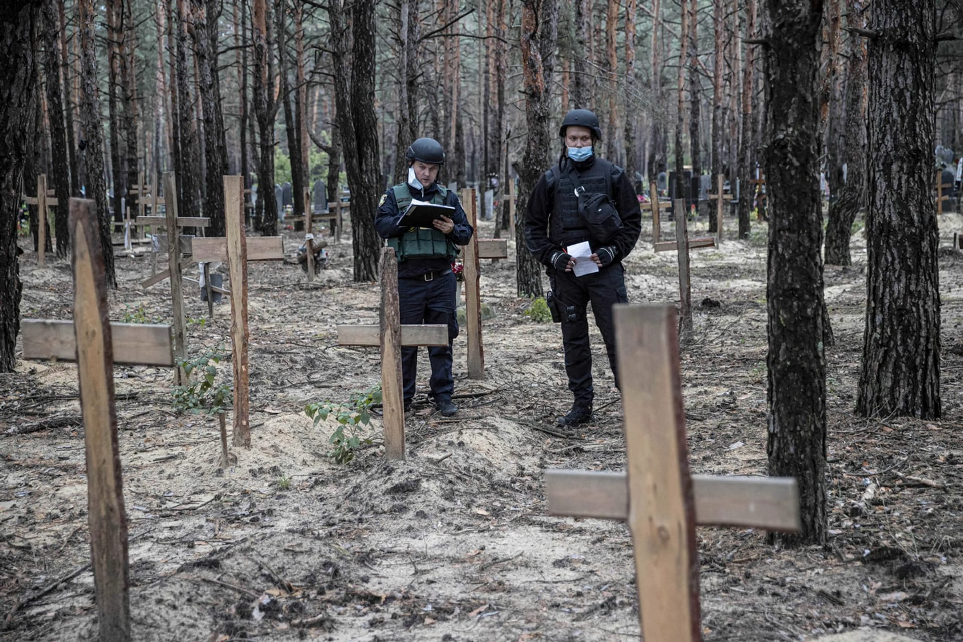 Изображение из галереи