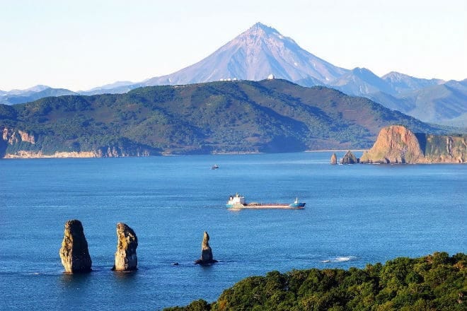В бухтах Авачинского залива гибнут морские животные, Минприроды Камчатки признало загрязнение трех участков