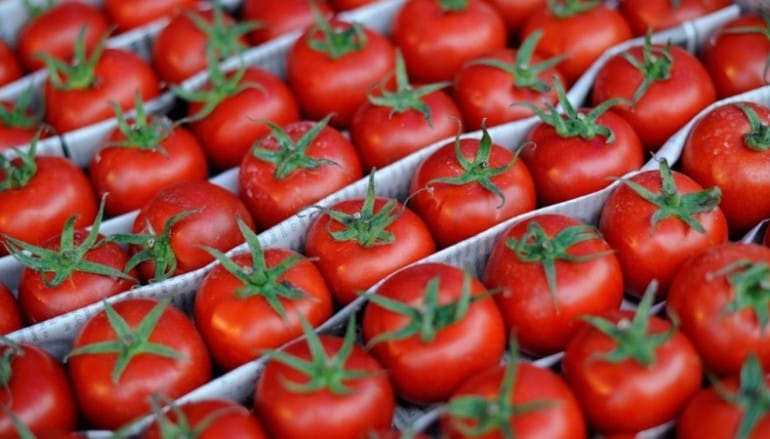 Россия сняла запрет на ввоз турецких томатов
