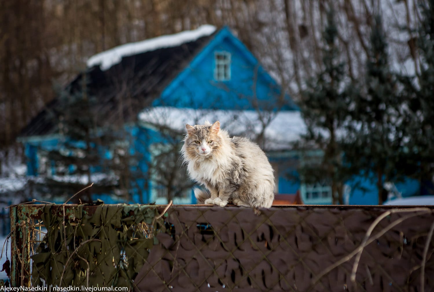 Россия вновь вошла в топ стран с самым несчастливым населением. В этом году — с Ганой, Афганистаном и Ираком